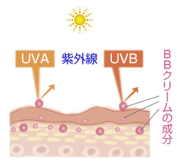 　紫外線を防ぐ説明図