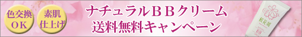 桜花媛ＢＢクリーム送料無料