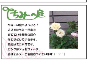 ちみーの庭へようこそ！ここではちみーが家で育てている植物の紹介などなどしていきます。最近はミニバラです。ピンクはジョセフィーヌ、白はナルシーと名前がついています（´∀｀）
