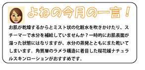 お肌が乾燥するからとミスト状の化粧水を吹きかけたり、スチーマーで水分を補給していませんか？一時的にお肌表面が湿った状態にはなりますが、水分の蒸発とともにまた乾いてしまいます。角質層のラメラ構造に着目した桜花媛ナチュラルスキンローションがおすすめです。