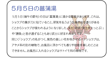 5月の5日の菖蒲湯　5月5日（端午の節句）の日は「菖蒲湯」に浸かる風習があります。これは、ショウブの葉が刀に似ていること、邪気を払うような爽やかな香りがあることからショウブが使われるようになりました。また「尚武（武士をたっとぶ）」や「勝負」と音が通ずることもあり武士に好まれたようです。同じく「ショウブ」の名がつく、紫色の美しい花を咲かせるハナショウブは、アヤメ科の別の植物で、お風呂に浮かべても香りや効能を楽しむことはできません。お風呂に入れるショウブはサトイモ科の植物です。