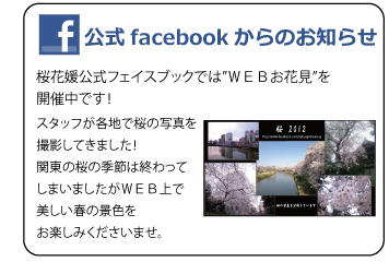 公式facebookからのお知らせ　桜花媛公式フェイスブックでは”ＷＥＢお花見”を開催中です！スタッフが各地で桜の写真を撮影してきました！関東の桜の季節は終わってしまいましたがＷＥＢ上で美しい春の景色をお楽しみくださいませ。