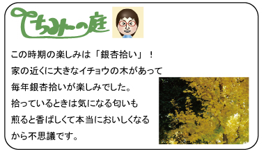 ちみーの庭　この時期の楽しみは「銀杏拾い」！家の近くに大きなイチョウの木があって毎年銀杏拾いが楽しみでした。拾っているときは気になる匂いも煎ると香ばしくて本当においしくなるから不思議です。